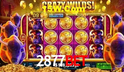 2877Bet App
